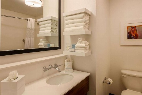 Hampton Inn Memphis-Southwind - image 18