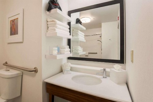 Hampton Inn Memphis-Southwind - image 34