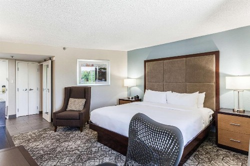 DoubleTree by Hilton Memphis - image 15