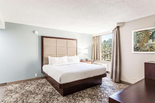 DoubleTree by Hilton Memphis - image 25