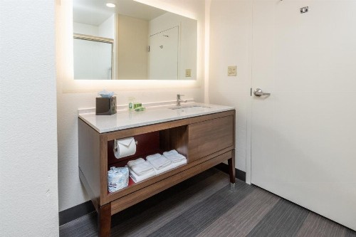 Holiday Inn Hotel & Suites Memphis-Wolfchase Galleria an IHG Hotel - image 18