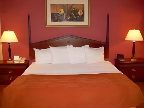 Holiday Inn - Memphis Downtown - Beale St. an IHG Hotel - image 40