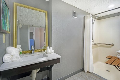 Holiday Inn - Memphis Downtown - Beale St. an IHG Hotel - image 45