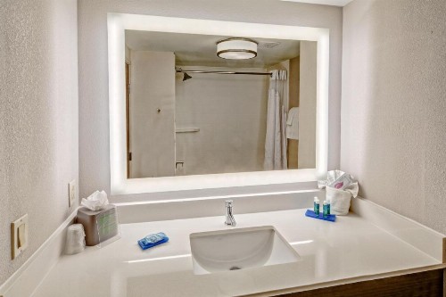 Holiday Inn Express Hotel & Suites Memphis Southwind an IHG Hotel - image 36