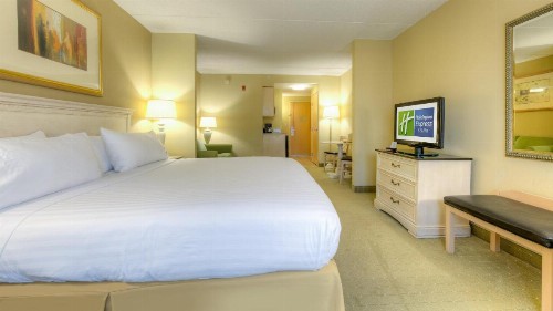 Holiday Inn Express Hotel & Suites Memphis Southwind an IHG Hotel - image 9