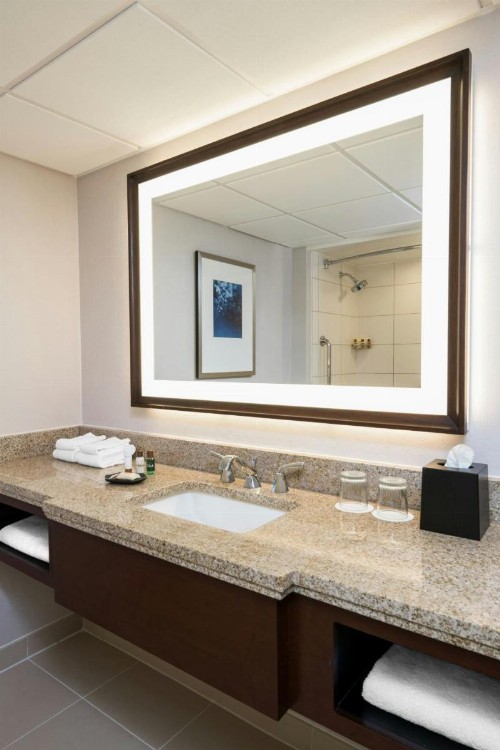Sheraton Memphis Downtown - image 15
