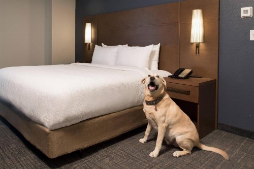 Residence Inn Memphis Downtown - image 30