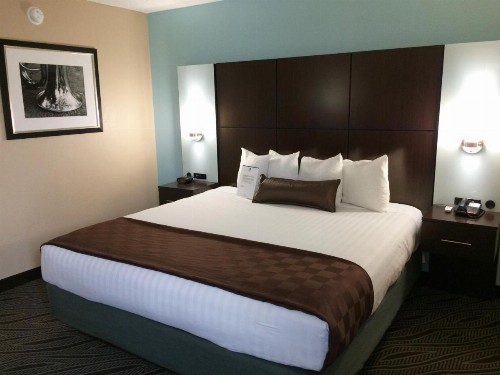 Best Western Plus Galleria Inn & Suites - image 9