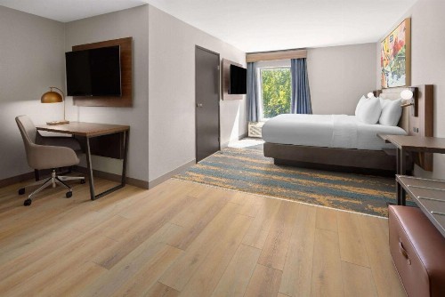 Quality Suites I-240 East-Airport - image 6