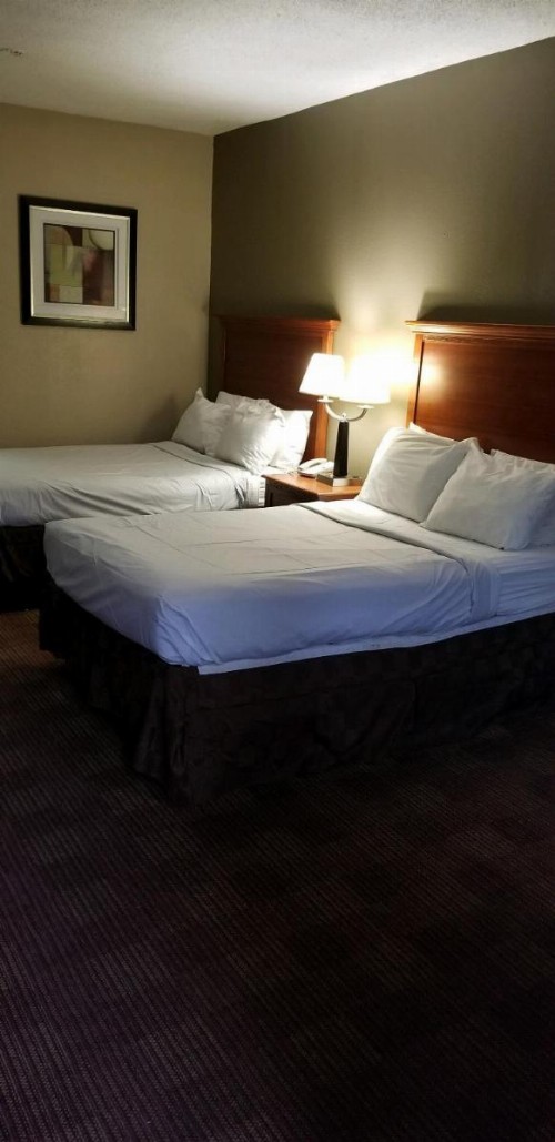 Americas Best Value Inn I-240 - image 1