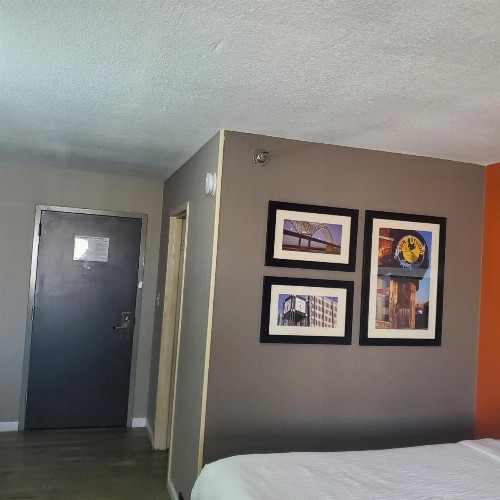 La Quinta by Wyndham Memphis Airport Graceland - image 15