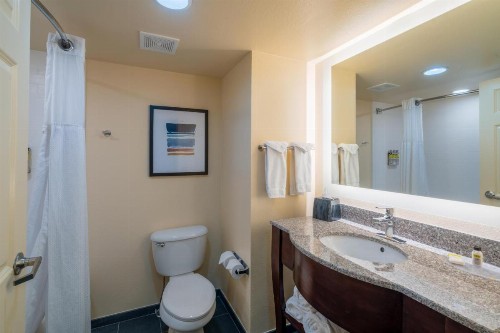 Staybridge Suites Memphis-Poplar Ave East an IHG Hotel - image 50