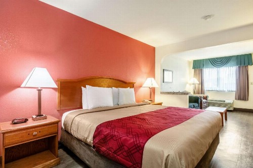 Econo Lodge Inn & Suites Memphis - image 36