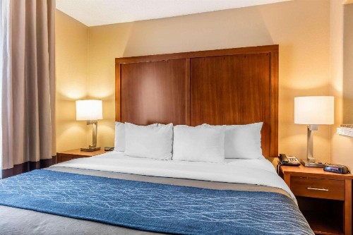 Comfort Inn & Suites Airport-American Way Memphis - image 17