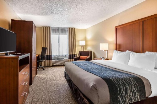 Comfort Inn & Suites Airport-American Way Memphis - image 18