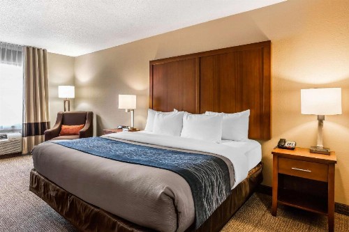 Comfort Inn & Suites Airport-American Way Memphis - image 21
