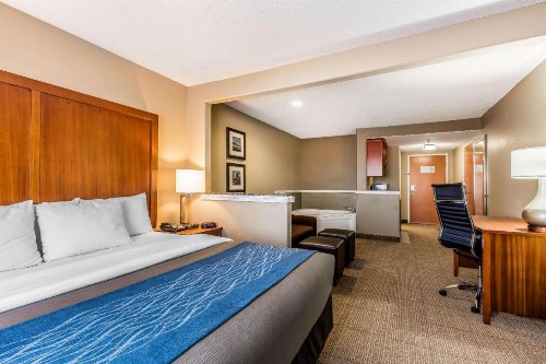 Comfort Inn & Suites Airport-American Way Memphis - image 24