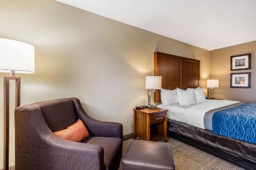 Comfort Inn & Suites Airport-American Way Memphis - image 3
