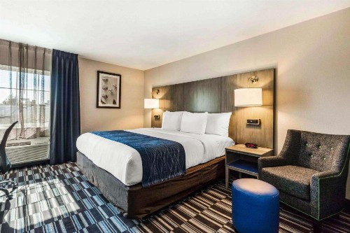 Comfort Inn Airport - image 12