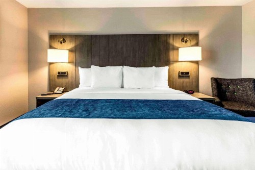 Comfort Inn Airport - image 13