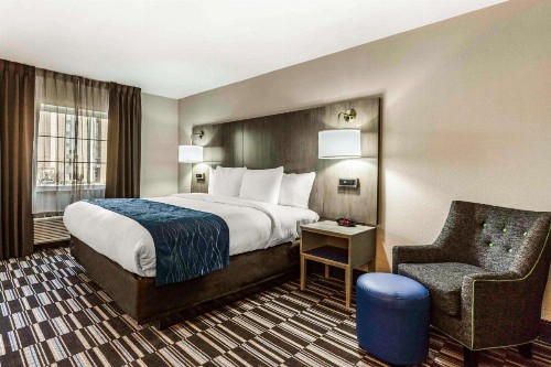 Comfort Inn Airport - image 16