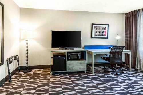 Comfort Inn Airport - image 18