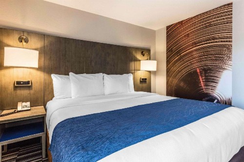 Comfort Inn Airport - image 24