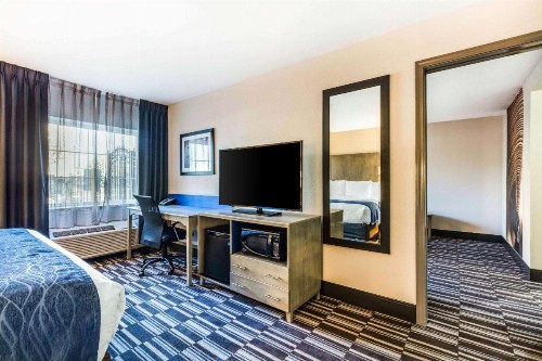 Comfort Inn Airport - image 30