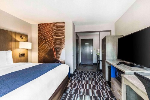 Comfort Inn Airport - image 7