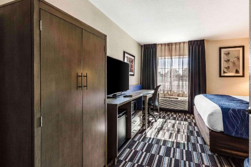 Comfort Inn Airport - image 8