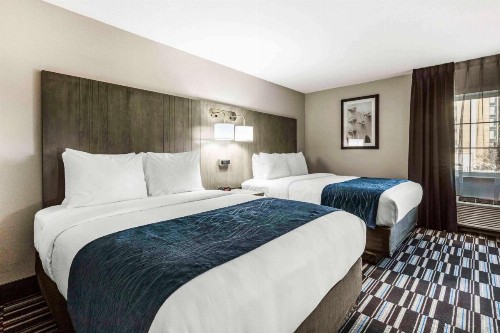 Comfort Inn Airport - image 9