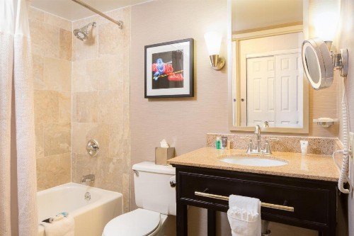 Crowne Plaza Memphis Downtown an IHG Hotel - image 4