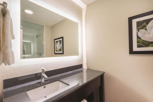 La Quinta by Wyndham Memphis Downtown - image 32
