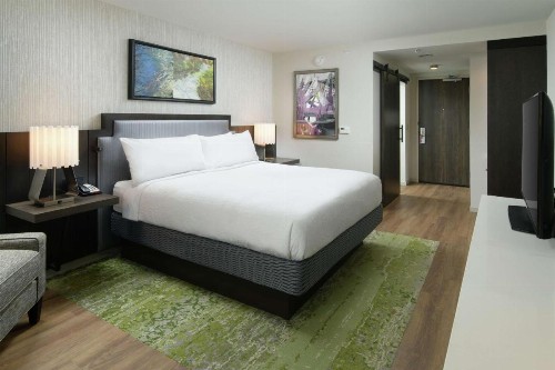 Hilton Garden Inn Memphis Downtown - image 41
