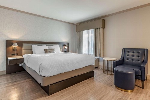 Best Western Plus Executive Suites - image 10