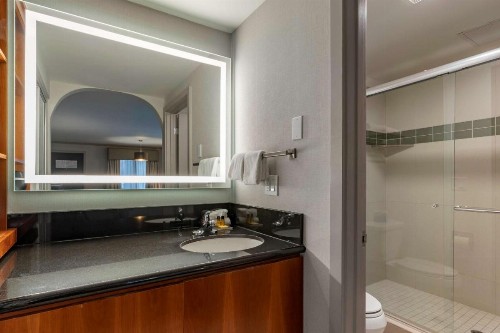 Best Western Plus Executive Suites - image 11