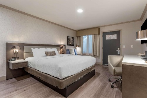 Best Western Plus Executive Suites - image 12