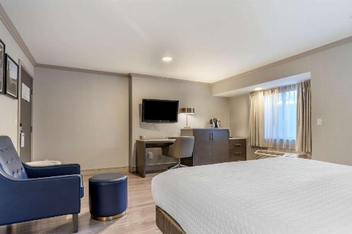 Best Western Plus Executive Suites - image 15