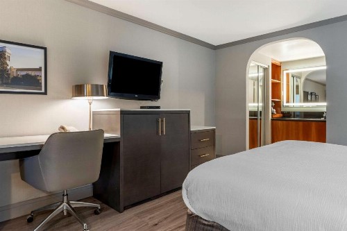 Best Western Plus Executive Suites - image 23
