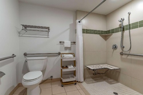 Best Western Plus Executive Suites - image 6
