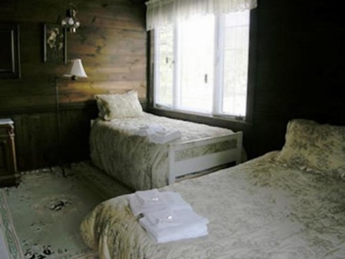 Oliver Lodge - image 12