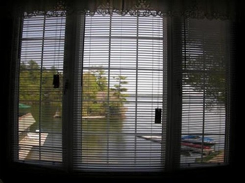 Oliver Lodge - image 41