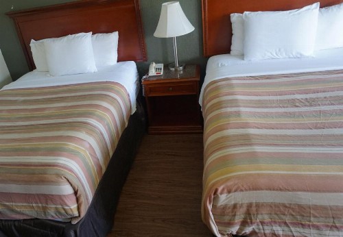 Econo Lodge Port Canaveral Area - image 14