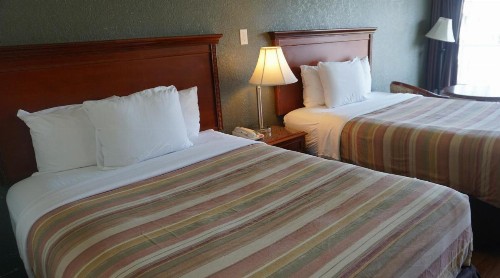 Econo Lodge Port Canaveral Area - image 6