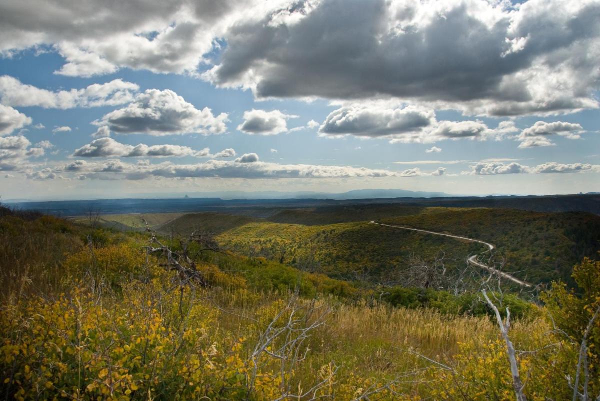 Far View Lodge - image 5