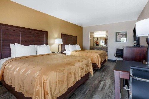 Quality Inn & Suites near Downtown Mesa - image 3