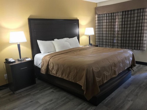 Quality Inn & Suites near Downtown Mesa - image 6