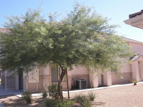 Nevada Mesquite Vacation Rentals - image 4