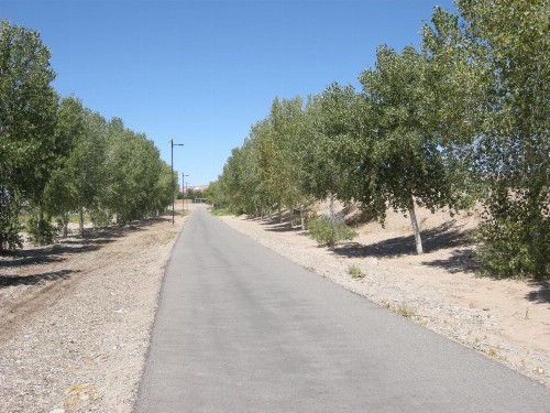 Nevada Mesquite Vacation Rentals - image 6