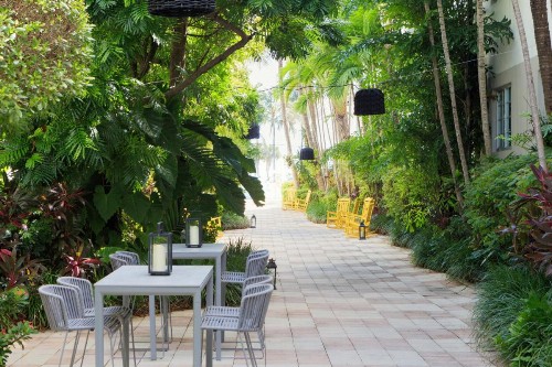Kimpton Surfcomber Hotel an IHG Hotel - image 11